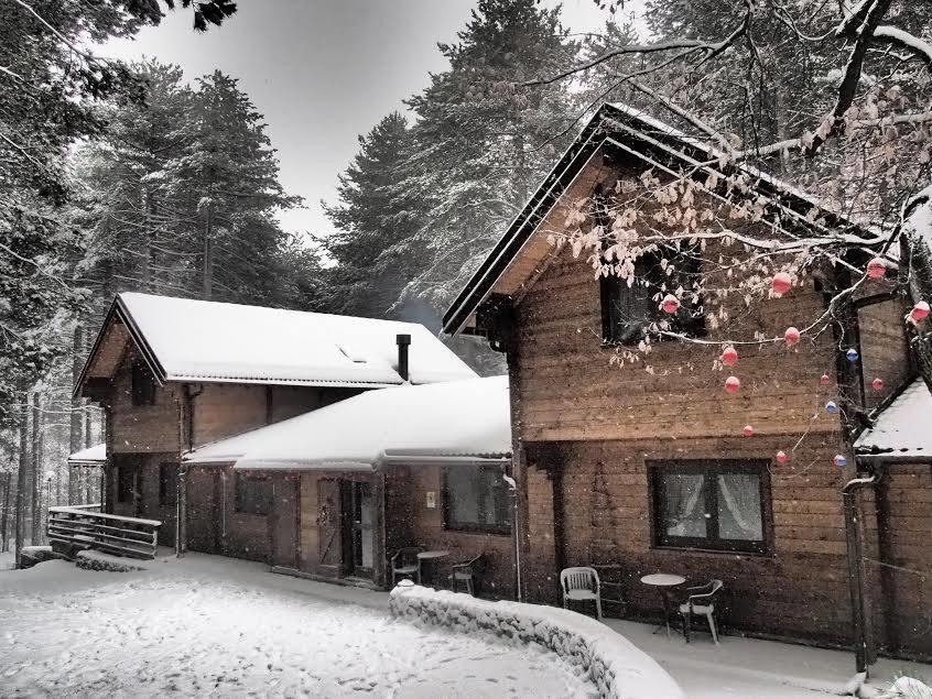 Hôtel Chalet Clan Dei Ragazzi à Linguaglossa Extérieur photo