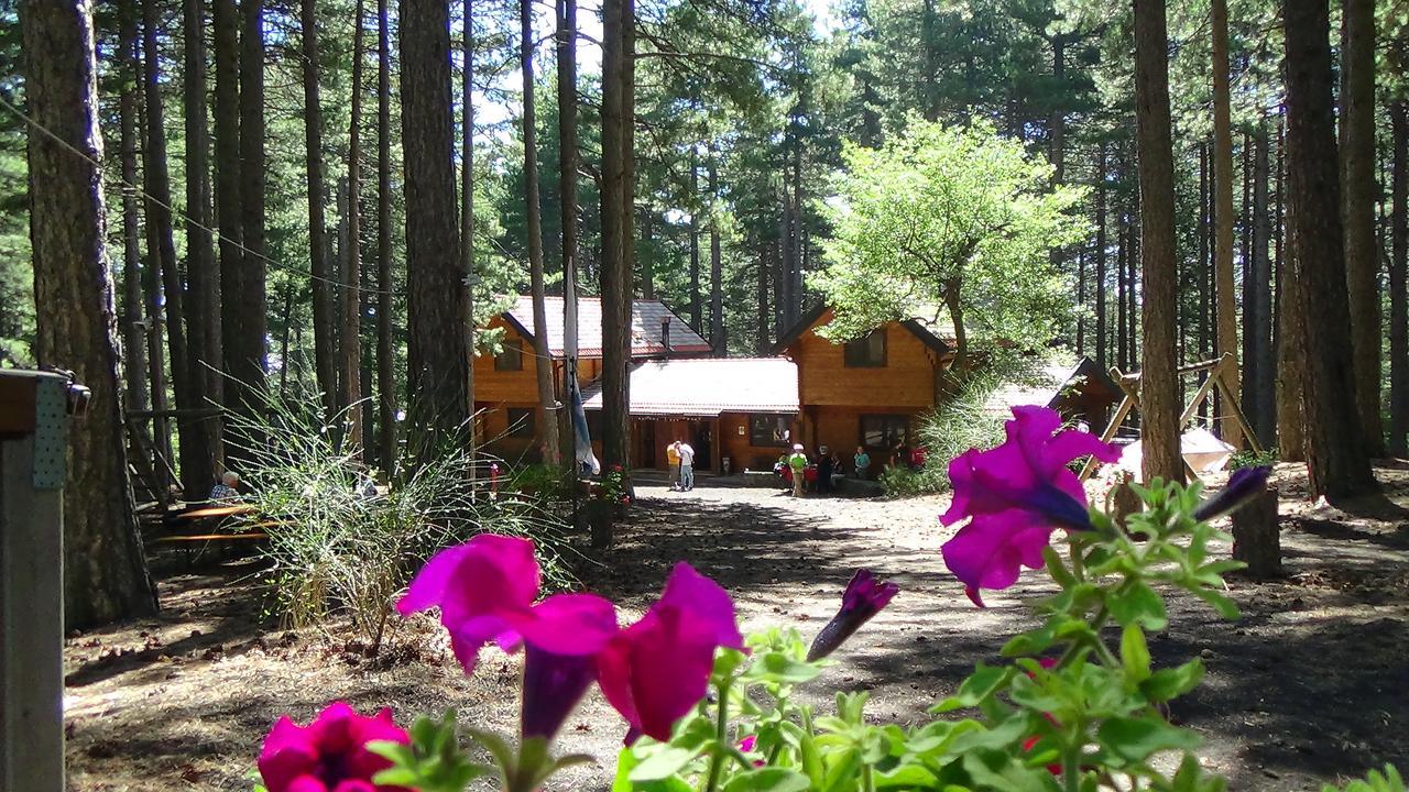 Hôtel Chalet Clan Dei Ragazzi à Linguaglossa Extérieur photo